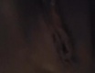 foto-galerie
