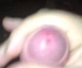 Pokus