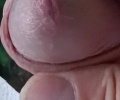 Honička