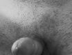 foto-galerie