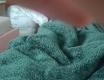 Ahojky - video č. 101268