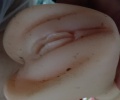Ukázat svoje