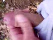 Lesní rychlovka - video č. 12272