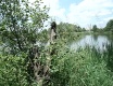 U rybníka - video č. 12907