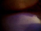 Night :  I am so excited :)
