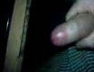 Menší honička - video č. 24657