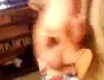 Handjob 2 - video č. 25533