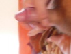 hoňka - video č. 26621