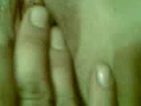 prstová predohra