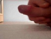 Výron - video č. 38358