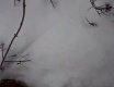 Snow Time Mastubation - video č. 38933