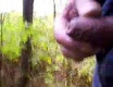 Na houbách - video č. 42978