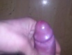 Vistrik - video č. 56446
