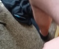 Po dlouhé době