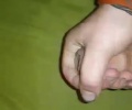 Strikam