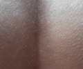 Sexik