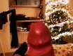 Vánoční stromeček - video č. 70899