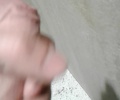 Zase wc