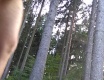 Hoňka v lese