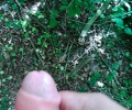 Potřeboval zkontrolovat