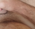 Honim