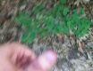 Lesní výstřik - video č. 85913
