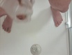 Výstřik sprcha - video č. 88791