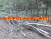 Překvapení v lese - video č. 90023