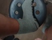 muselo to von - video č. 90527