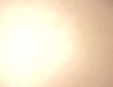 Pervni natáčení . Tajné - video č. 93298