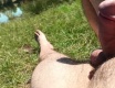 U vody , flash cock