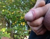 Piss - video č. 94403