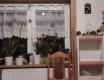 Honím si čuráka - video č. 94935