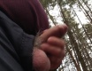 Příroda zase volá - video č. 95445