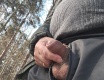 Lesní... - video č. 95498
