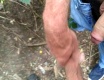 v létě venku s kamarádem - video č. 95566