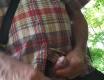 Les - video č. 96782