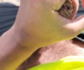 Nádražený bagrista