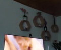 Honím si čuráka u porna