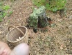 Houbařská... - video č. 97757
