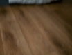 Půjčená a vystříkaná 
